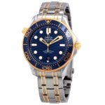 Omega Seamaster Diver Master Co-Axial - Image 2